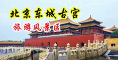 骚逼卖逼视频嗯啊啊啊中国北京-东城古宫旅游风景区